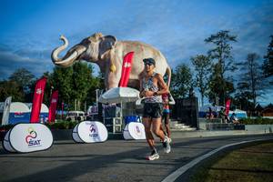 BIB: 
                            <button type="button" onclick="openModal(26541566)" class="btn btn-primary btn-sm float-right btn-popup" data-toggle="modal" data-target=".modal-high-quality">
                        <i class="fas fa-shopping-cart"></i> Add to Cart
                    </button>
                                            <button type="button" onclick="isThisMe(26541566, true)" class="btn btn-success btn-sm float-right btn-popup btn-isme hidden" data-toggle="tooltip" data-placement="bottom" title="นี่คือรูปของคุณใช่ไหม คลิกที่นี่เพื่อเอาเข้าอัลบั้ม">
                        <i class="fas fa-plus"></i> Add to album
                    </button>
                    <button type="button" onclick="isThisMe(26541566, false)" class="btn btn-warning btn-sm float-right btn-popup btn-isnotme hidden">
                        <i class="fas fa-ban"></i> Remove from album
                    </button>